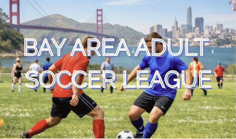 Bay Area Adult Soccer League